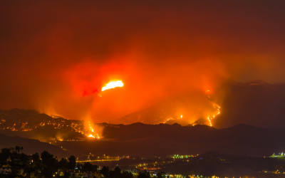 image for California Wildfires and Your Pet